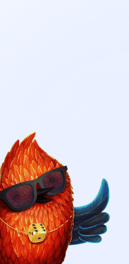 Wnioski o Lucky Bird Kasyno